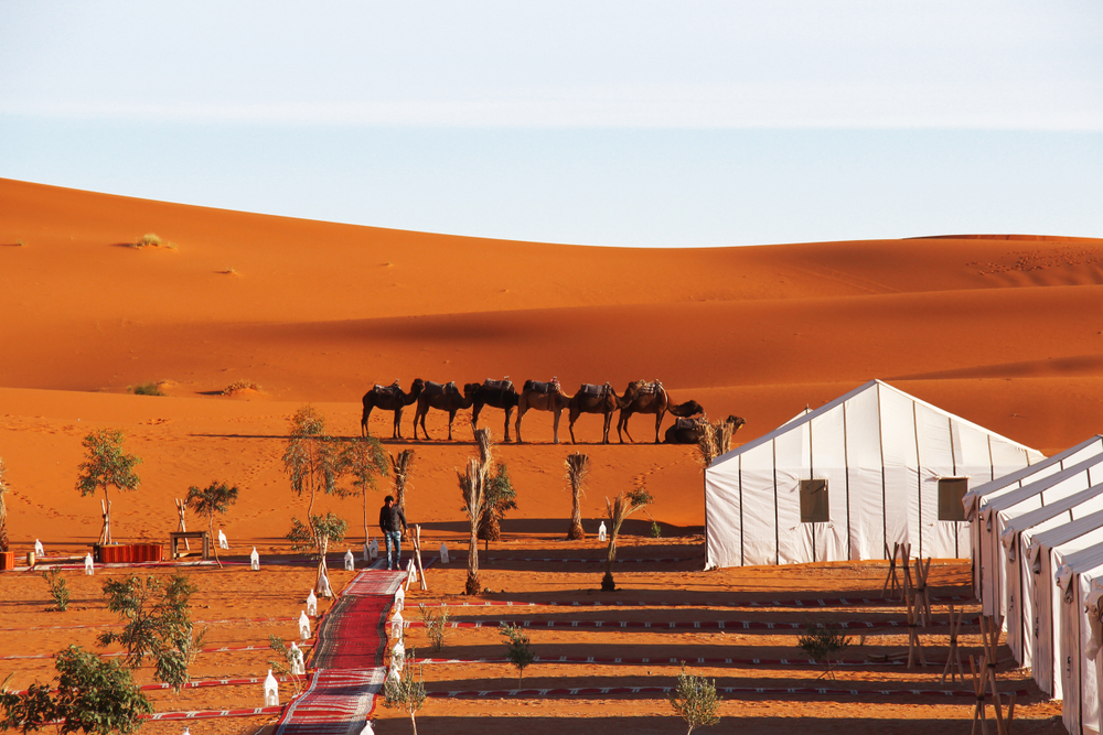 Traditional nomadic tent interior